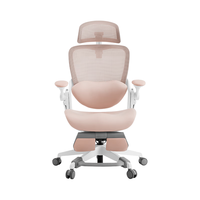 YANXUAN 网易严选 探索家LADY女神椅 人体工学电脑椅办公椅电竞老板会议学习椅凳子
