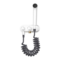 松下（Panasonic）马桶喷枪卫生间马桶伴侣增压喷水枪厕所冲洗水枪套装321AW