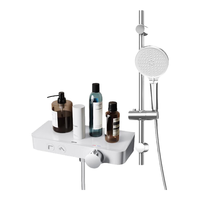  箭牌 ARROW AE3252MZCP 简易手持花洒套装 镀铬银