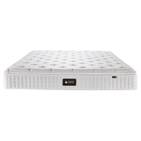 梦神乳胶床垫加固独袋弹簧软硬两用双面睡感席梦思床垫1.8 梦骑士精英 梦骑士精英 1800mm*2000mm