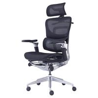 ERGOUP 有谱 M0 人体工学椅