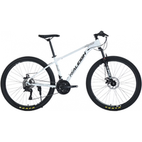 RALEIGH山地车自行车男女成人公路城市减震碟刹通勤男变速越野青少年 珠光白 24寸（1适合40-170cm） 21速（5％顾客）