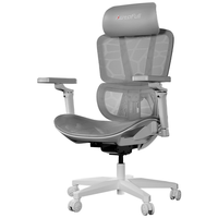 AutoFull/傲风 人体工学 电竞椅 G5专业版【360°扶手】白 转椅
