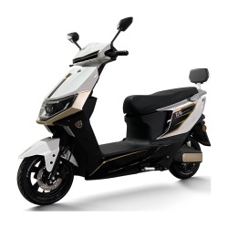 立马电动车 立马电动摩托车极昂100公里长续航电动车1500W电机 96V20Ah铅酸电池前后碟刹 梦幻白