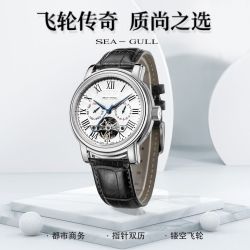 SEA-GULL 海鸥 巨匠系列 42毫米自动上链腕表 D819.624