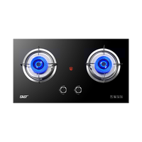 SAST/先科 防风聚焰 燃气灶 液化气