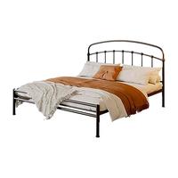 天坛家具铁艺床双人床现代简约铁架床欧式主卧铁床金属法式