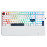 Hyeku 黑峡谷 E2 Pro 99键 2.4G蓝牙 多模无线机械键盘 星光白 苍岭轴 RGB