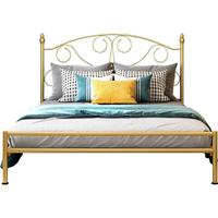 天坛铁艺床欧式雕花公主双人铁架床单人高端金色主卧家用铁床架子