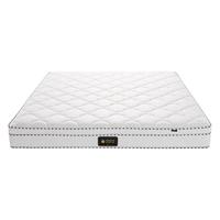 MENGSHEN 梦神 C经典系列 追梦-护脊款 椰棕弹簧床垫