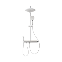 法恩莎（FAENZA）四功能钢琴键大平台置物喷枪易除垢淋浴花洒套装【白】F4M8846MW
