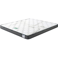 SOMNOPRO 穗宝 南海椰歌 椰棕床垫 180*200*13cm