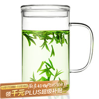 雅集 豪饮杯玻璃杯办公室 耐热大容量水杯 男士带盖泡茶杯子850ml