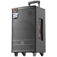 Shinco/新科 T30 大功率 音箱 8吋三分频木箱双话筒版