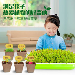 LEAUN YZ16C 科学种植实验套装