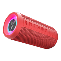 雷登(OHAYO)x10蓝牙音箱双喇叭3d环绕大功率音量超重低音炮户外防水便携式随身家用小钢炮迷你蓝牙音响