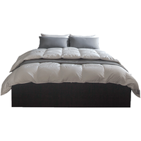 SIDANDA 诗丹娜 可水洗95鹅绒被春秋被 150*200cm