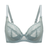 华歌尔蓝标内衣女薄款蕾丝内衣女透气包容全罩杯大胸显小文胸罩WB8442 深灰青 80D 36/80D