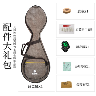 乐海儿童琵琶乐器初学者入门推荐款花开富贵头饰蝶恋花图案D01-A