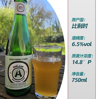  TASTE ROOM/风味屋 精酿 比利时酸啤
