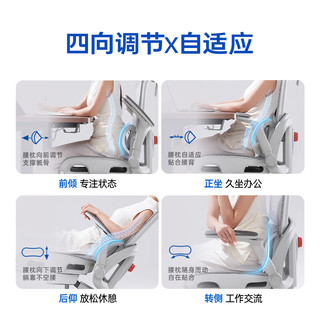 SIHOO/西昊B300Pro 人体工学椅 气压升降 145度后仰 办公椅 B300Pro灰 6D联动扶手 147°后仰