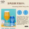  TASTE ROOM/风味屋 美国精酿 浑浊IPA啤酒