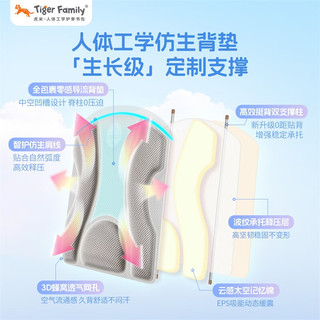 TigerFamily虎米小书包1-5年级儿童男女护脊减负超轻双肩包 【中童27L-酷影黑】大容量|柔感面料 一抹即净