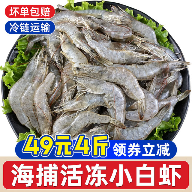 一虾一世界 新鲜海捕大虾 青虾小白对虾基围虾羊毛虾 鲜活冷冻 烧烤火锅食材 8