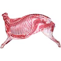 祁连天宝 羊肉新鲜半只羊10斤羔羊生鲜羊肉羊腿羊排羊蝎子火锅食材年货礼盒