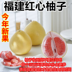 皇金蜜 福建建平和管溪红心柚子 5斤精选装