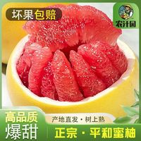 百亿补贴：柚子 Pemelo 正宗平和柚子 红心蜜柚 红肉超甜 新鲜应季水果批发 皮薄水大爆甜