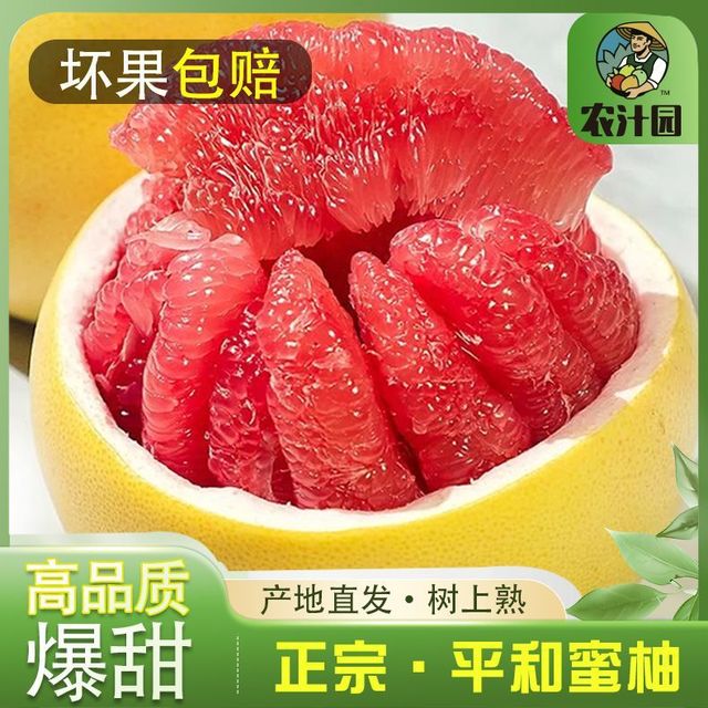 柚子 Pemelo 正宗平和柚子 红心蜜柚 红肉超甜 新鲜应季水果批发 皮薄水大爆甜