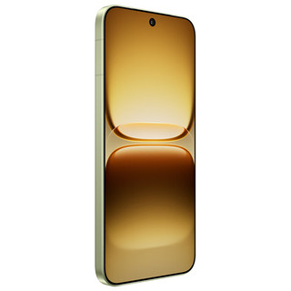 vivo iQOO 155G手机 旷野12+512全网通 iQOO极风散热套餐