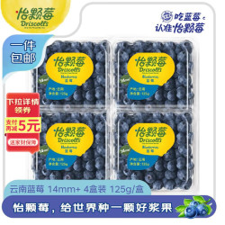 怡颗莓 当季云南蓝莓 125g*4盒装