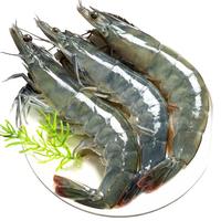 大虾鲜活速冻基围虾冷冻王牌盐冻虾冰冻对虾类海鲜水产青岛冰鲜