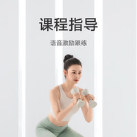 MIJIA米家 智能屏显 男女家用家庭肌肉塑形轻重量 米家智能哑铃 米家智能哑铃 雾青色
