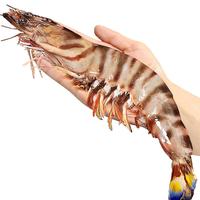 九节虾斑节虾竹节虾海鲜黑虎虾基围虾特大超大虾鲜活速冻水产海虾