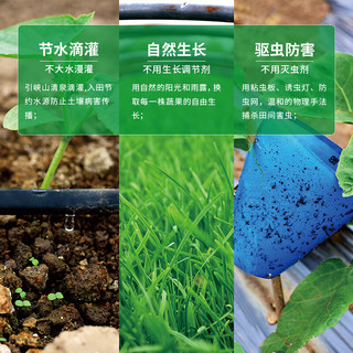 有机汇有机蔬菜单次套餐 品种丰富多种新鲜蔬菜搭配 有机种植营养无农残 有机蔬菜，随机搭配品种