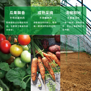 有机汇有机蔬菜单次套餐 品种丰富多种新鲜蔬菜搭配 有机种植营养无农残 有机蔬菜，随机搭配品种