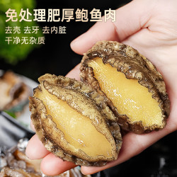 德叔鲍鱼 无壳鲍鱼肉100g（约10粒）鲜活鲍鱼加工冷冻鲍火锅烧烤海鲜食材 同价双11 无壳鲍鱼肉100g约10粒