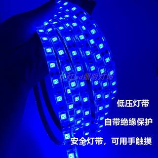 led蓝色灯带12v蓝光灯条低压24v5050超高亮贴片自粘户外防水广告 24v裸板不防水(高亮)带背胶 其它 其它
