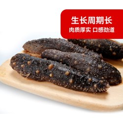 Ocean Gala 阿拉斯加野生海参 500g*2包