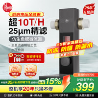 瑞美 Rheem 前置过滤器 25微米精滤高压反冲洗压力表监控  全屋家用净水器 10T大通量
