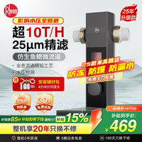 瑞美 Rheem 前置过滤器 25微米精滤高压反冲洗压力表监控  全屋家用净水器 10T大通量