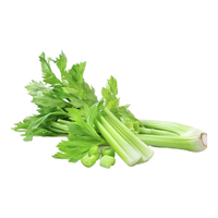 米特乐芙有机西芹 榨汁西芹有机芹菜汁出汁率高 有机种植无农残 新鲜采摘 有机西芹