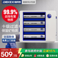 德克西 德国净水器家用保留矿物质厨房自来水前置过滤器超滤净水机不锈钢净化器水龙头