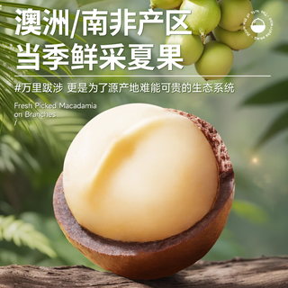 三只松鼠量贩夏威夷果大颗粒坚果零食特产小吃休闲食品干果 【罐装】夏威夷果500g*2