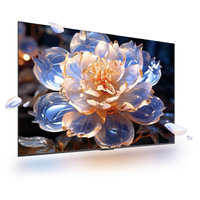 华为 Vision 5 SE 优享版 HDB526A9 液晶电视 65英寸 4K 普通