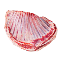 羊食光（YASEEGO） 羊肉新鲜羊排现杀乳羔羊羊排3斤草原散养羊冷冻生鲜商用烧烤食材