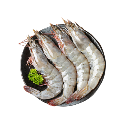 百鲜洽 盐冻海捕大虾 17-20cm 3斤 虾王级别
